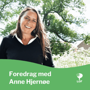 anne-hjernoee